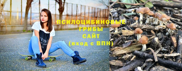 ГАЛЛЮЦИНОГЕННЫЕ ГРИБЫ Богородицк