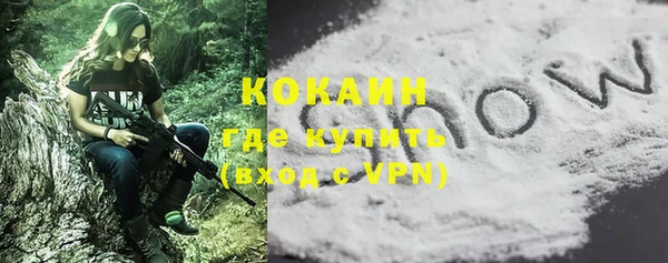 твердый Няндома