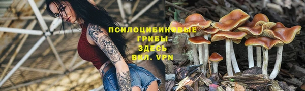 mdma Богданович