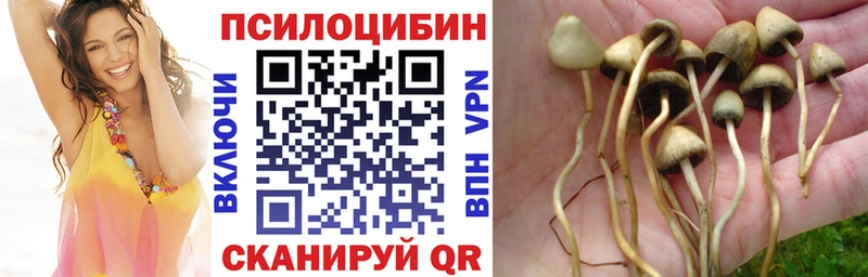 Галлюциногенные грибы GOLDEN TEACHER Купить закладки Фролово